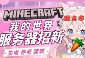 我的世界如何开启服装网？