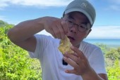 我的世界的榴莲食用方法是什么？食用后有什么效果？