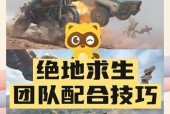 绝地求生组队互动功能如何设置？