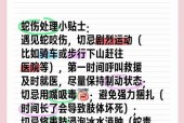 华夏人生被蛇咬了怎么办（自救方法汇总）