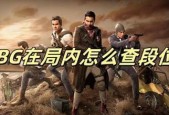 绝地求生中如何查看玩家段位？段位显示有何意义？