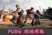 绝地求生游戏中如何判断当前处于生存的哪个阶段？