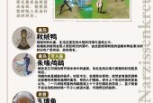 寻仙中元神丹的合成方法是什么？合成元神丹需要哪些材料？