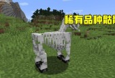 《我的世界》指令探秘（学习如何使用指令在《我的世界》游戏中创造僵尸马）