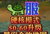 乌龟魔兽低级副本的攻略是什么？有哪些技巧可以提高胜率？