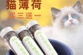 《以小森生活猫薄荷获得方法一览》（探索小森生活中获得猫薄荷的奇妙之旅）