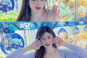 《猫之城零度调和——探索猫咪世界的游戏乐园》（解析猫之城零度调和的玩法）