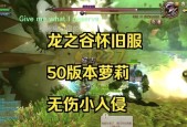 龙之谷全程减伤的策略是什么？减伤效果如何最大化？