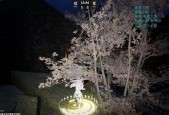 反恐精英ol血条显示方法是什么？如何开启头上血条？