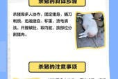 我的世界中如何正确杀猪？有哪些技巧？