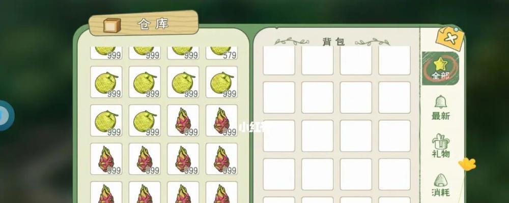 小森生活家园升级攻略（提高家园等级的小技巧）  第1张