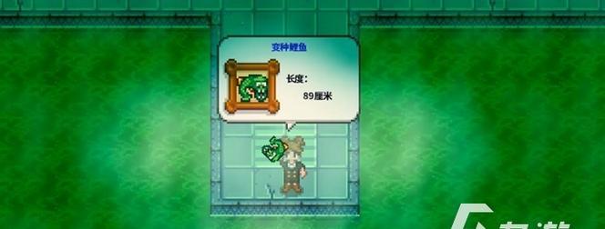 《波西亚时光》稀有鱼钓法大全（掌握这些实用技巧）  第1张