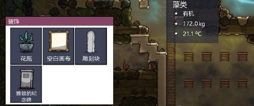 《缺氧森林变氧气森林》（从草到树的成长之路）  第3张