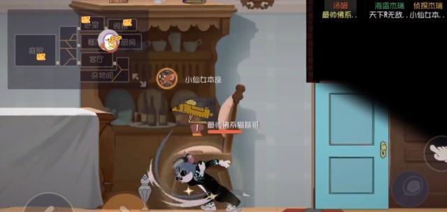 起角猫灯光训练怎么做？常见问题有哪些？  第2张
