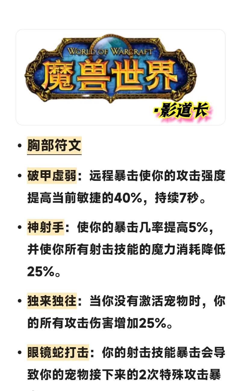 魔兽世界猎人如何正确安装符文？  第2张