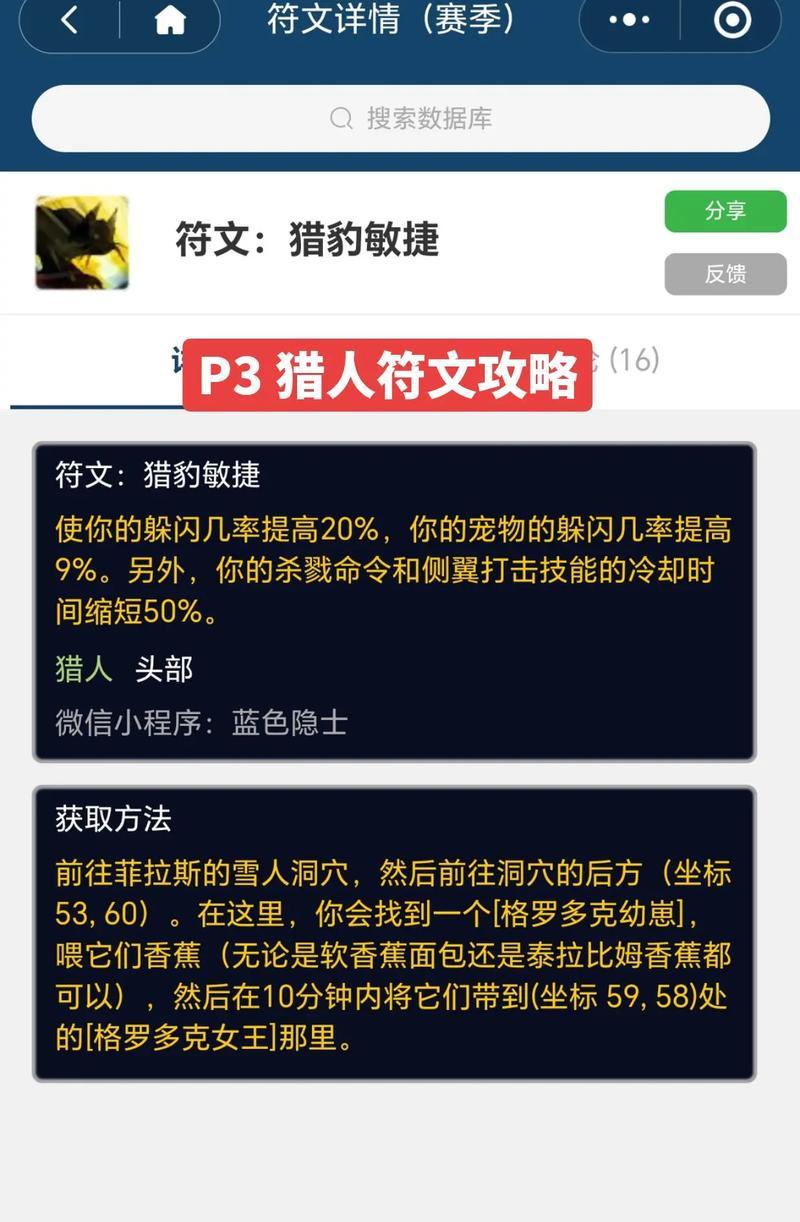 魔兽世界猎人如何正确安装符文？  第3张