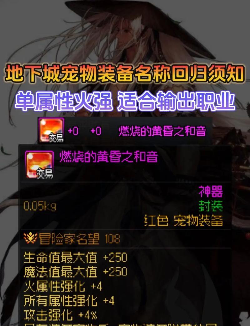 dnf宠物什么用？宠物有哪些功能？  第2张