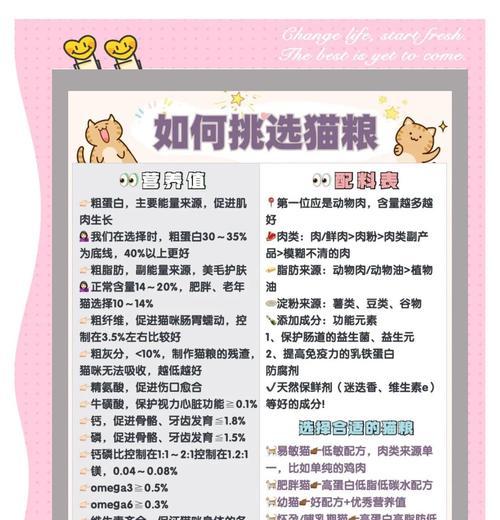 魔域中赠送的猫如何正确饲养？养猫有哪些注意事项？  第2张