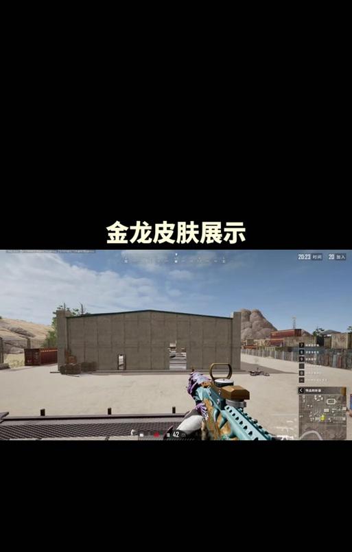 绝地求生青龙皮肤如何获得最佳效果？  第2张