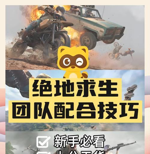 绝地求生组队互动功能如何设置？  第1张