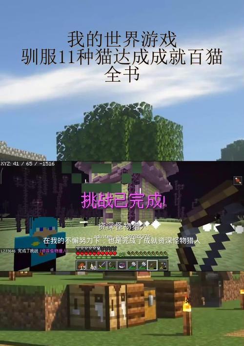 我的世界中如何用小猫刷新？  第2张