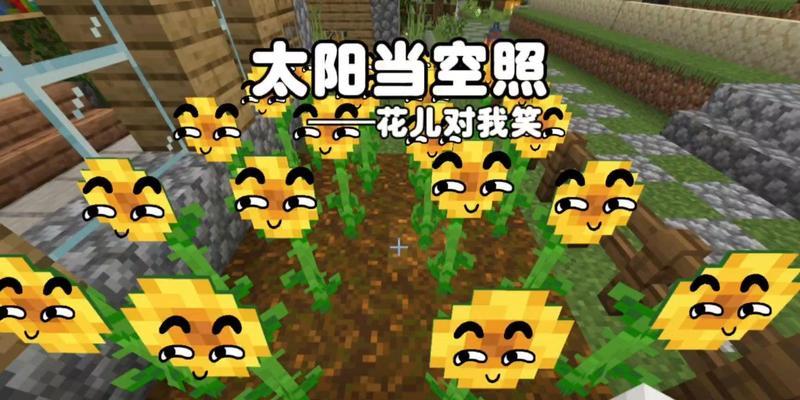 我的世界中太阳飞行的技巧是什么？  第1张