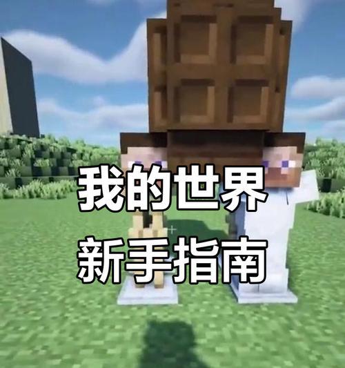 我的世界中太阳飞行的技巧是什么？  第3张