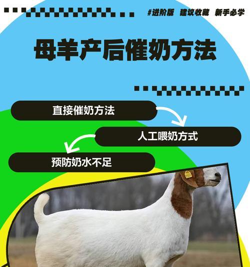 羊的喂养方法是什么？我的世界中如何喂养羊？  第2张