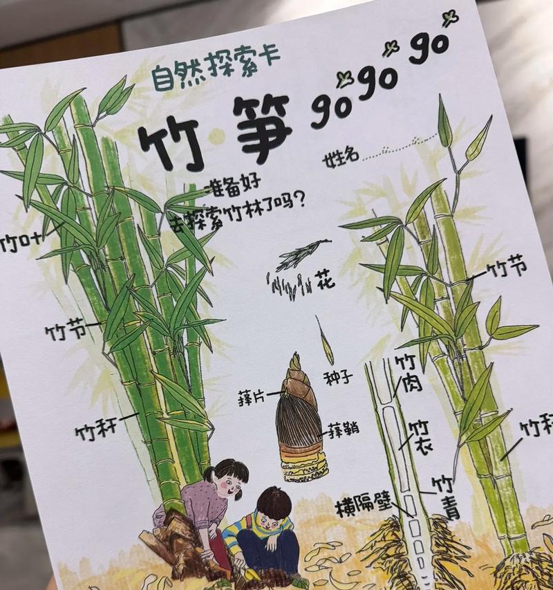 我的世界中竹笋如何获得？获取竹笋的途径有哪些？  第2张