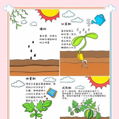 西瓜和南瓜在《我的世界》中的种植方法是什么？  第3张