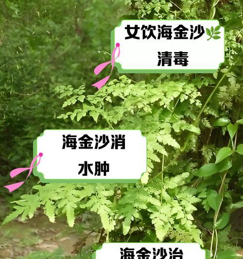 大话西游金沙子的制作方法是什么？金沙子有何特殊用途？  第2张