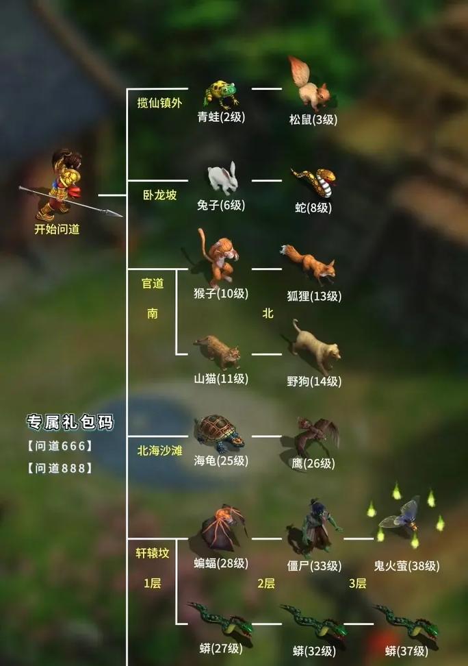 问道官方会员领取条件是什么？  第1张