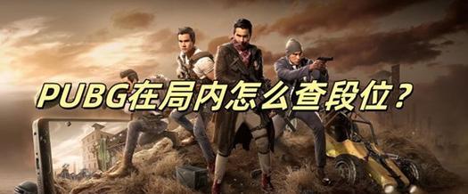 绝地求生中如何查看玩家段位？段位显示有何意义？  第1张
