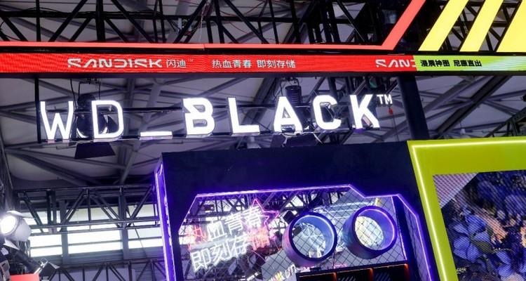 拓展互动娱乐边界，闪迪携全系列存储方案亮相ChinaJoy 2025  第9张