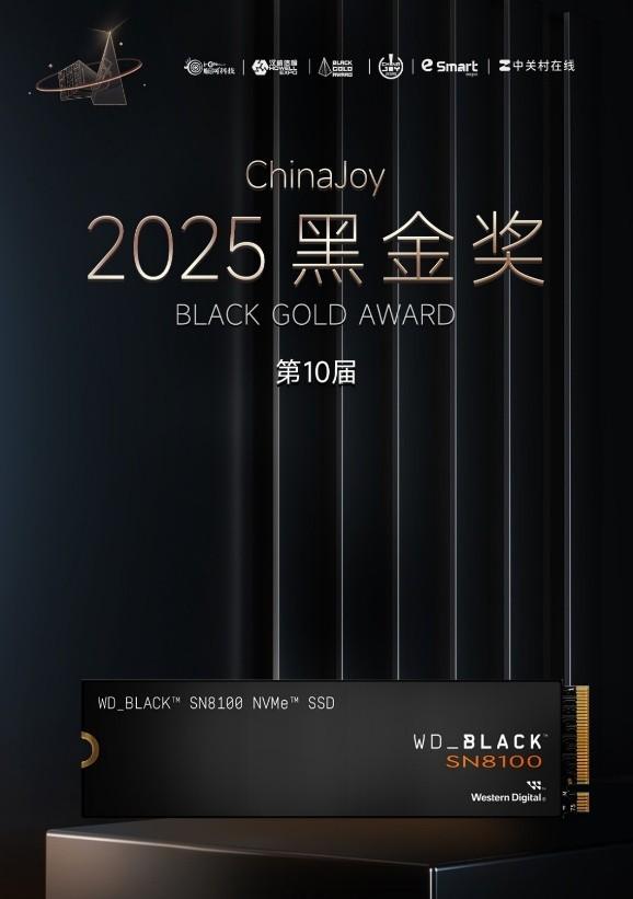 拓展互动娱乐边界，闪迪携全系列存储方案亮相ChinaJoy 2025  第11张