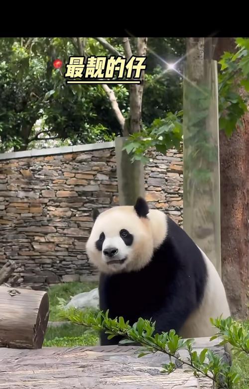 奇迹（开年最热门游戏）  第3张
